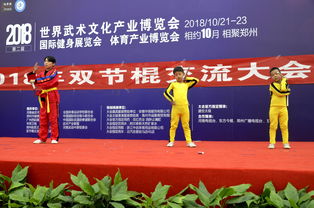 2018世界武術(shù)文化產(chǎn)業(yè)博覽會(huì)雙節(jié)棍交流大會(huì)圓滿落幕，推動(dòng)文化藝術(shù)交流新高度